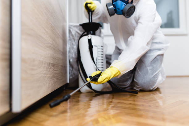 Best Local Pest Control Services  in Sandersville, GA