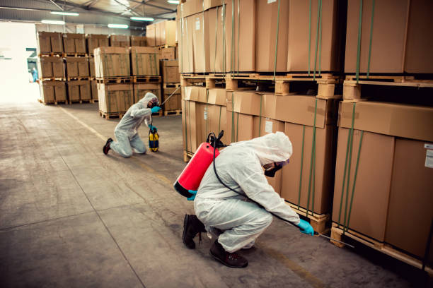 Best Pest Control Near Me  in Sandersville, GA