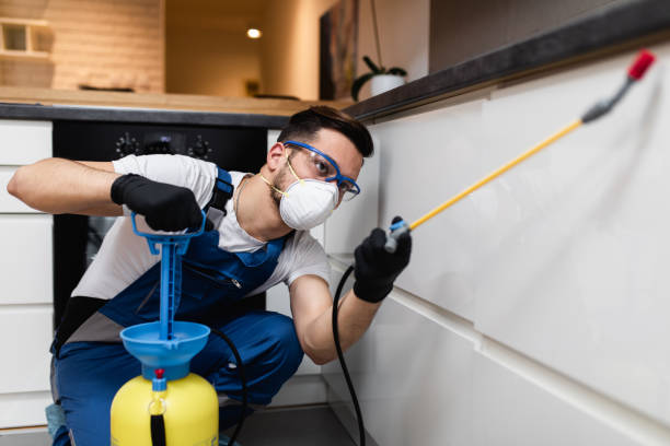 Reliable Sandersville, GA Pest Control Solutions