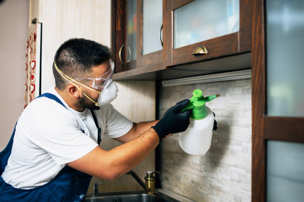 Wasp Removal Services in Sandersville, GA