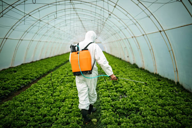 Best Residential Pest Control  in Sandersville, GA