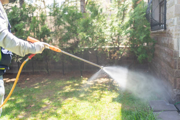 Best Pest Control Near Me  in Sandersville, GA