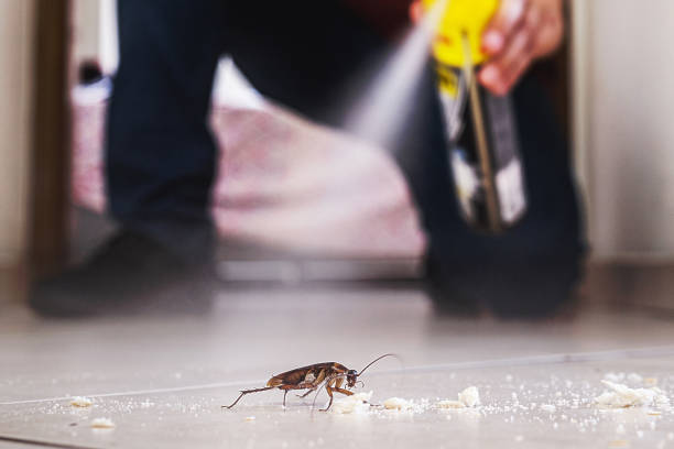 Spider Control Near Me in Sandersville, GA