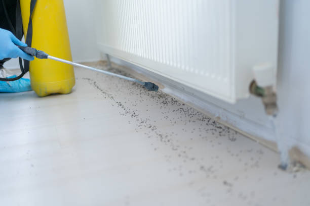 Best Termite Control Services  in Sandersville, GA