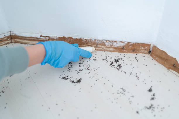 Best Wildlife Control Services  in Sandersville, GA